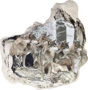 Díra 3D fototapeta nástěnná Nálepka vlci zimou nd-p-171243935