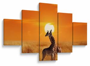 Obraz - Žirafy v národním parku Serengeti (125x70 cm)