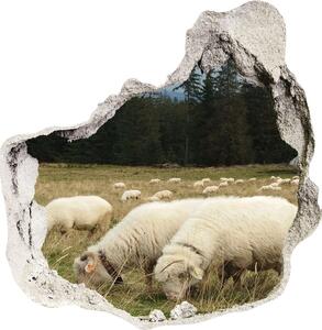 Díra 3D fototapeta nálepka Pasící se ovce nd-p-197671747