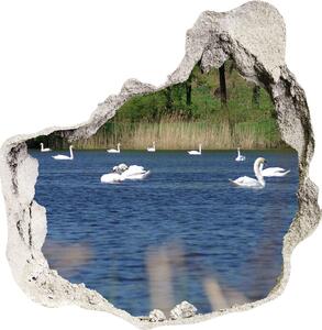Díra 3D fototapeta nálepka Bílé labutě nd-p-203819741