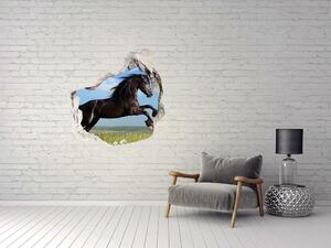 Díra 3D fototapeta na stěnu Černý kůň na louce nd-p-26473191