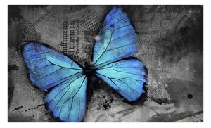 Fototapeta - Modrý motýl II 450x270 + zdarma lepidlo