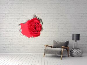 Díra 3D fototapeta na stěnu Červená růže nd-p-77656963