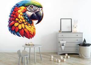 Pestrobarevný papoušek arch 41 x 45 cm