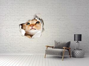 Díra 3D fototapeta na stěnu Kočka v díře nd-p-33902265