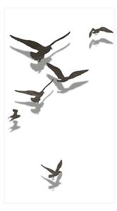 Fototapeta - Volní ptáci 50x1000 + zdarma lepidlo