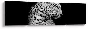 Obraz - Leopard (170x50 cm)