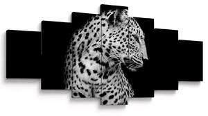Obraz - Leopard (210x100 cm)
