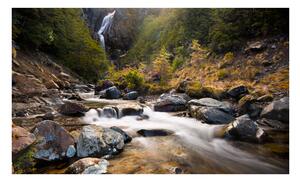 Fototapeta - Ohakune - Vodopády na Novém Zélandu 450x270 + zdarma lepidlo