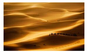 Fototapeta - Karavana velbloudů v poušti 450x270 + zdarma lepidlo