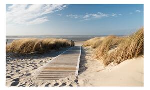 Fototapeta - Severní moře pláž, Langeoog 450x270 + zdarma lepidlo