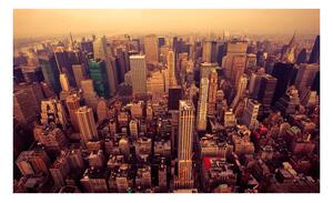 Fototapeta - Ptačí pohled na Manhattan v New Yorku 450x270 + zdarma lepidlo