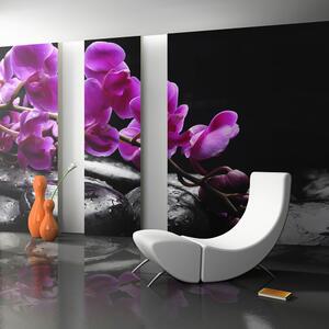 Fototapeta - Relaxační moment: květ orchideje a kameny 450x270 + zdarma lepidlo