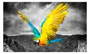 Fototapeta - Exotický papoušek 450x270 + zdarma lepidlo