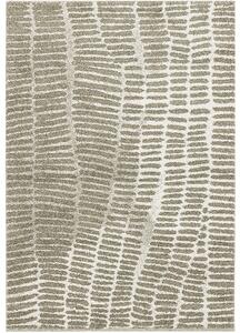 Breno Kusový koberec TIFFANY 58/VOV, Béžová, Vícebarevné, 120 x 170 cm