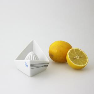 Lis na citrusy loďka s kotvou