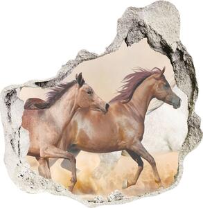 Díra 3D fototapeta nálepka Koně ve cvalu nd-p-56781097