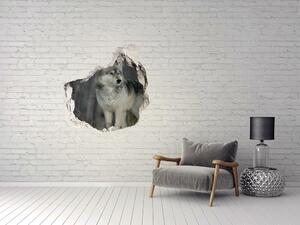 Díra 3D fototapeta na stěnu Šedý vlk nd-p-57875164