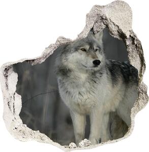 Díra 3D fototapeta na stěnu Šedý vlk nd-p-57875164