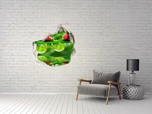 Díra 3D fototapeta na stěnu Berušky deštníky nd-p-58636971
