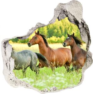 Díra 3D fototapeta nálepka Koně ve cvalu nd-p-58845191