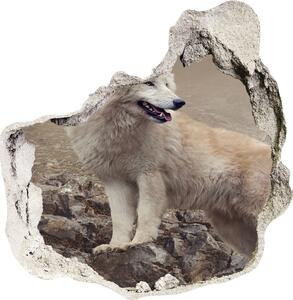 Díra 3D fototapeta na stěnu Bílý vlk na skále nd-p-60381309