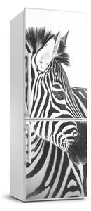 Nálepka fototapeta lednička Zebra ve sněhu FridgeStick-70x190-f-121577688