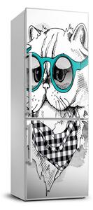 Nálepka fototapeta lednička Kočka brýle FridgeStick-70x190-f-121703839
