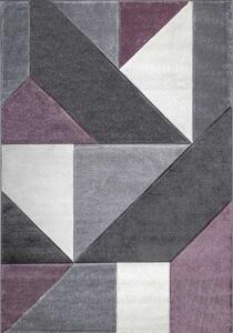 Vopi | Kusový koberec Warner 4205A fialový - 120 x 170 cm