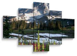 Obraz - Mount Rainier (125x70 cm)