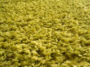 Mono Carpet Kusový koberec Efor Shaggy 1903 Green - 120x170 cm