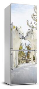 Nálepka fototapeta lednička Dva bílí vlci FridgeStick-70x190-f-121943194