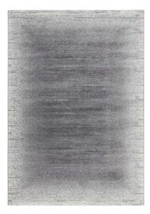 Lalee Kusový koberec Feeling 502 Silver Rozměr koberce: 200 x 290 cm