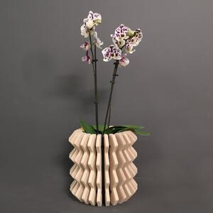 AMADEA Dřevěný obal na květináč harmonika z masivního dřeva, 22 x 22 cm, dřevěný květináč