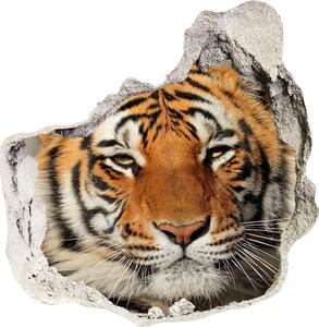 Díra 3D foto tapeta nálepka Bengálský tygr nd-p-88747131