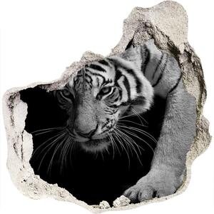 Díra 3D foto tapeta nálepka Tygr nd-p-89533463
