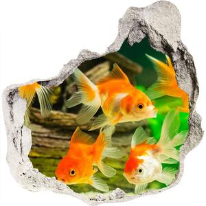 Díra 3D foto tapeta nálepka Zlaté rybičky nd-p-89540196