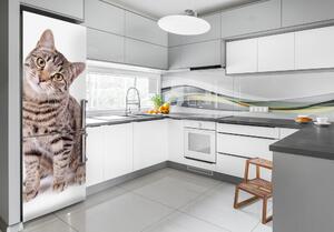 Samolepící nálepka na ledničku stěnu Kočka FridgeStick-70x190-f-78018175