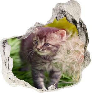 Díra 3D fototapeta nálepka Kočka s pampeliškou nd-p-107758068