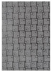 BĚHOUN, 80/150 cm, antracitová Kayoom - Online Only koberce & rohožky, Online Only