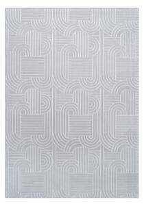 BĚHOUN, 80/150 cm, barvy stříbra Kayoom - Online Only koberce & rohožky, Online Only