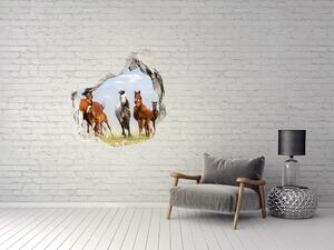 Díra 3D fototapeta nálepka Koně ve cvalu nd-p-108737059