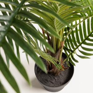 OnaDnes -20% Umělá květina Kave Home Fern palm 150 cm