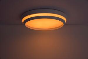 LUTEC Chytré stropní LED osvětlení CEPA s RGB funkcí, 24W, teplá bílá-studená bílá, 35cm, kulaté, bílé 8402901446