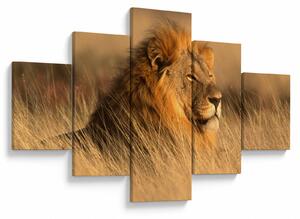 Obraz - Národní park Etosha (125x70 cm)