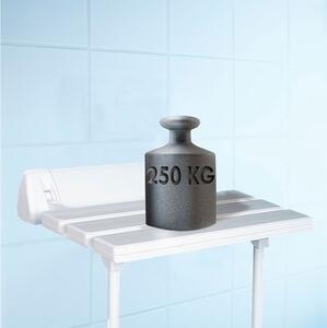 RIDDER - Sedátko do sprchy, sklopné s podpěrou, bílá (A0020301)