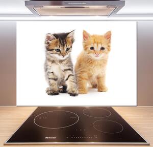 Panel do kuchyně Hnědá a červená kočka pl-pksh-100x70-f-101681955