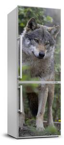 Samolepící nálepka na ledničku Vlk v lese FridgeStick-70x190-f-79173731