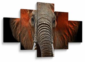 Obraz - Sloni z Tsavo (125x70 cm)