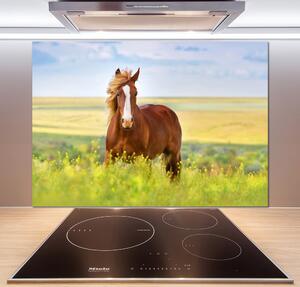 Dekorační panel sklo Hnědý kůň pl-pksh-100x70-f-111439137